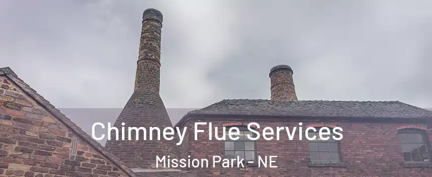 Chimney Flue Services Mission Park - NE