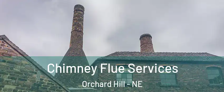 Chimney Flue Services Orchard Hill - NE