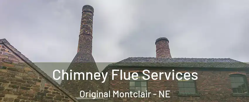 Chimney Flue Services Original Montclair - NE