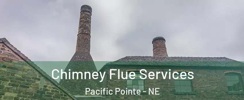 Chimney Flue Services Pacific Pointe - NE