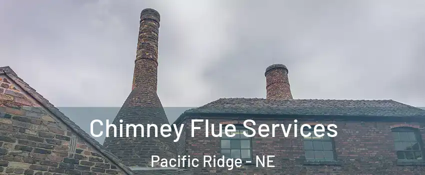Chimney Flue Services Pacific Ridge - NE