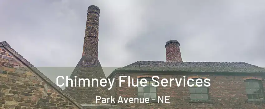 Chimney Flue Services Park Avenue - NE