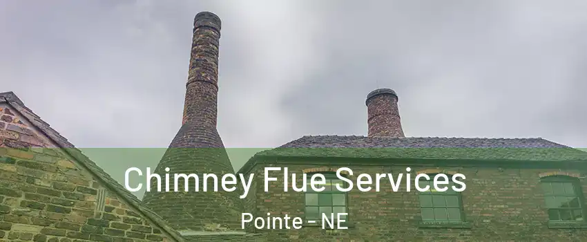 Chimney Flue Services Pointe - NE