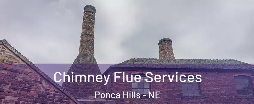 Chimney Flue Services Ponca Hills - NE