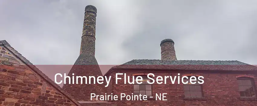 Chimney Flue Services Prairie Pointe - NE