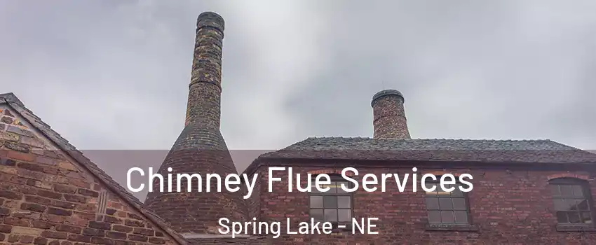 Chimney Flue Services Spring Lake - NE