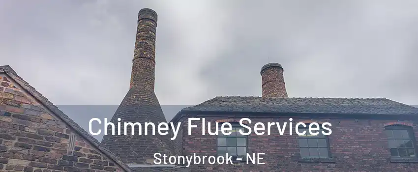 Chimney Flue Services Stonybrook - NE