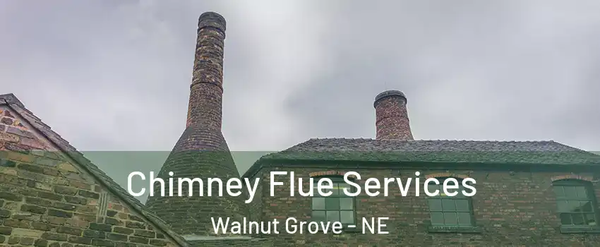 Chimney Flue Services Walnut Grove - NE