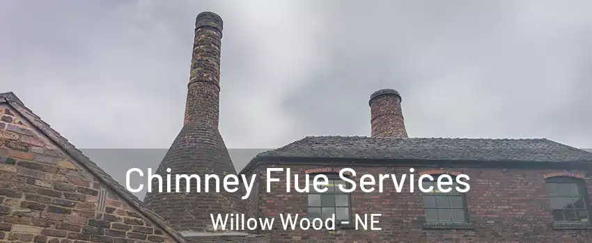 Chimney Flue Services Willow Wood - NE