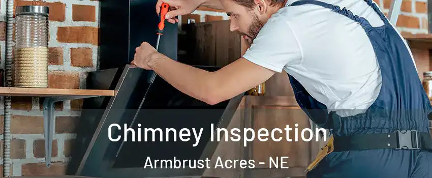 Chimney Inspection Armbrust Acres - NE
