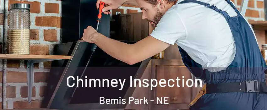 Chimney Inspection Bemis Park - NE