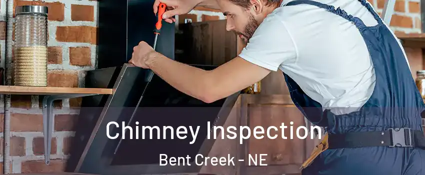 Chimney Inspection Bent Creek - NE