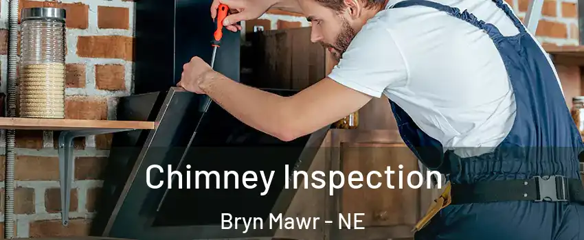 Chimney Inspection Bryn Mawr - NE