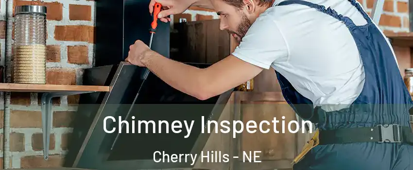 Chimney Inspection Cherry Hills - NE