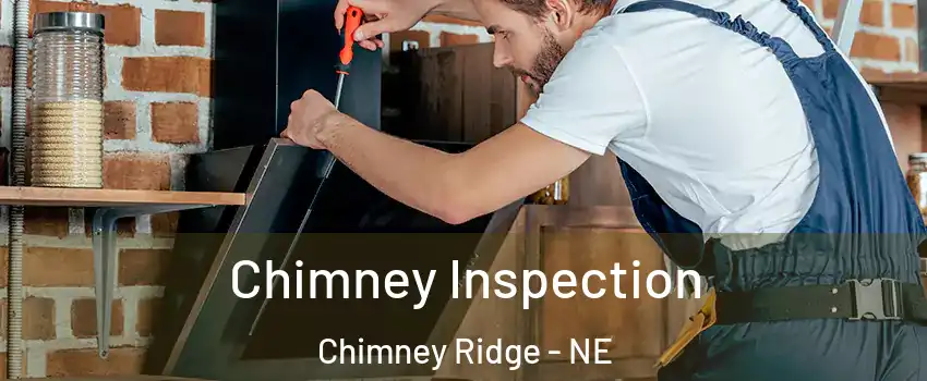 Chimney Inspection Chimney Ridge - NE
