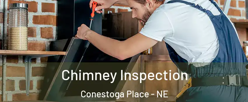 Chimney Inspection Conestoga Place - NE