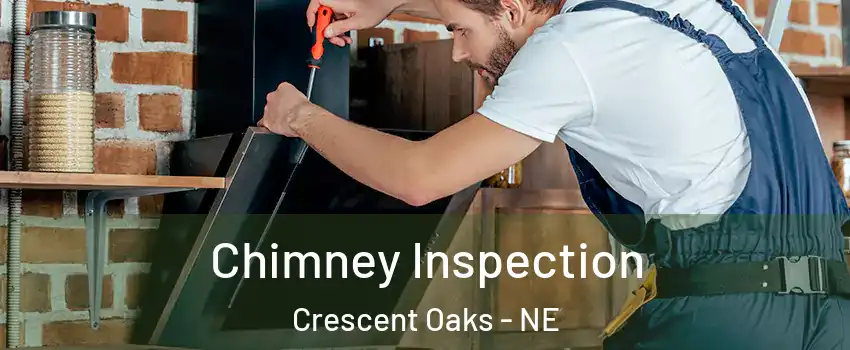 Chimney Inspection Crescent Oaks - NE