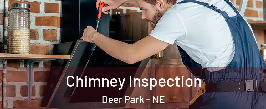 Chimney Inspection Deer Park - NE
