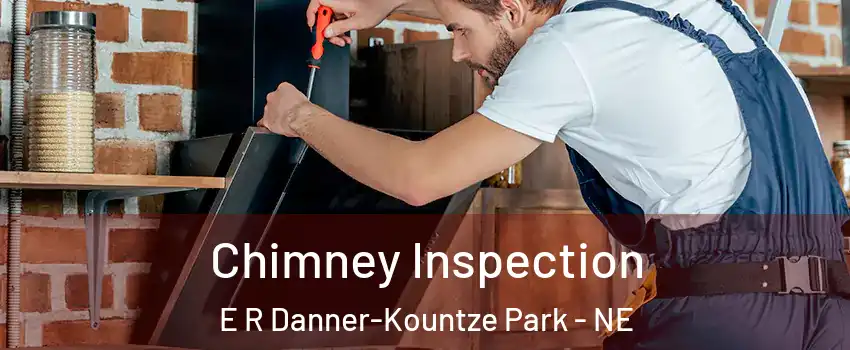 Chimney Inspection E R Danner-Kountze Park - NE
