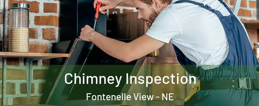 Chimney Inspection Fontenelle View - NE