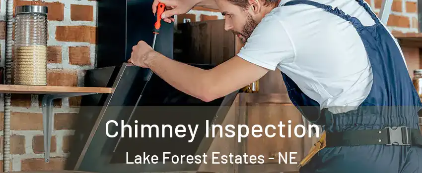 Chimney Inspection Lake Forest Estates - NE