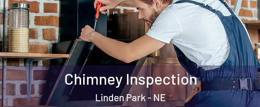 Chimney Inspection Linden Park - NE
