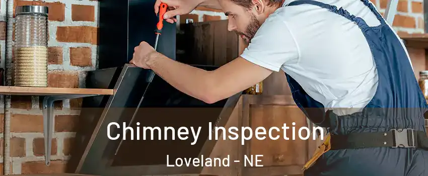 Chimney Inspection Loveland - NE