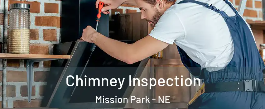 Chimney Inspection Mission Park - NE