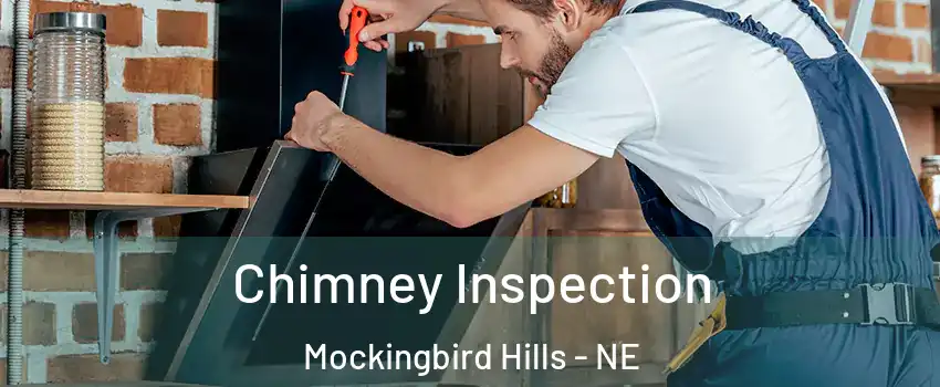 Chimney Inspection Mockingbird Hills - NE