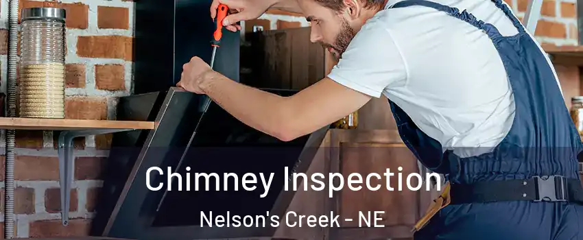 Chimney Inspection Nelson's Creek - NE