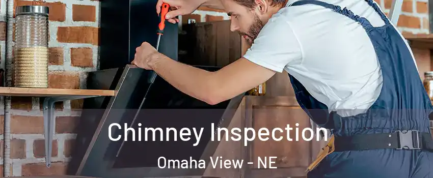 Chimney Inspection Omaha View - NE