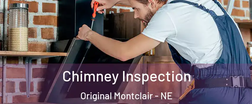 Chimney Inspection Original Montclair - NE
