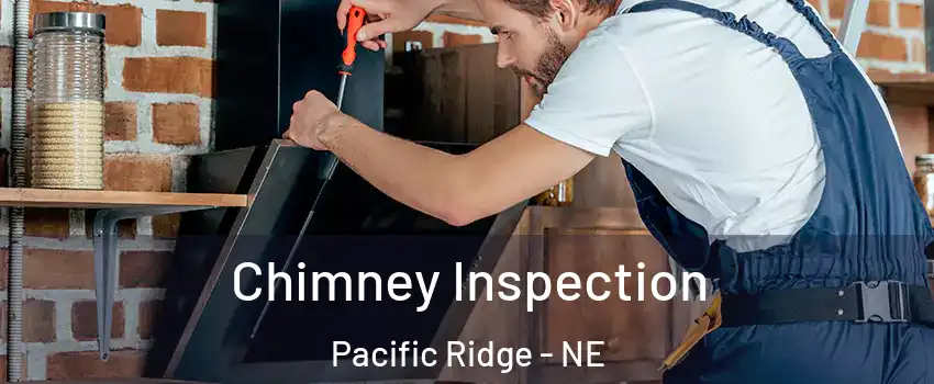 Chimney Inspection Pacific Ridge - NE