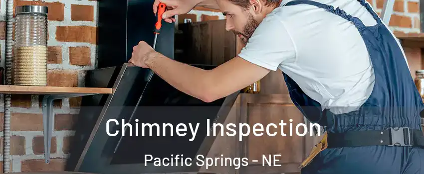 Chimney Inspection Pacific Springs - NE