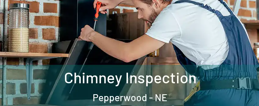 Chimney Inspection Pepperwood - NE