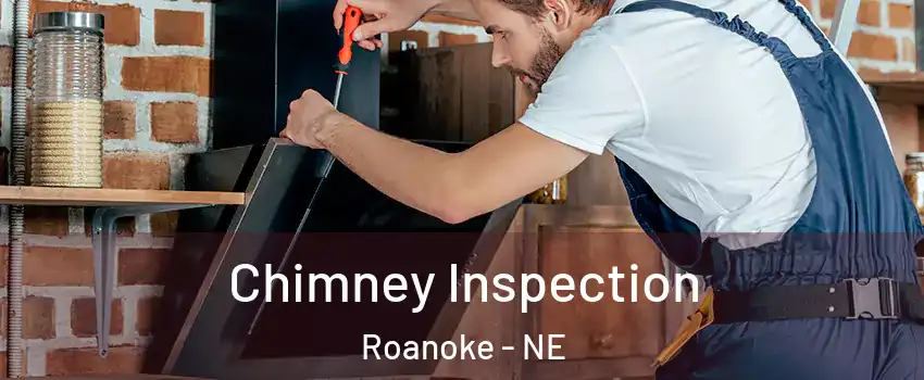 Chimney Inspection Roanoke - NE
