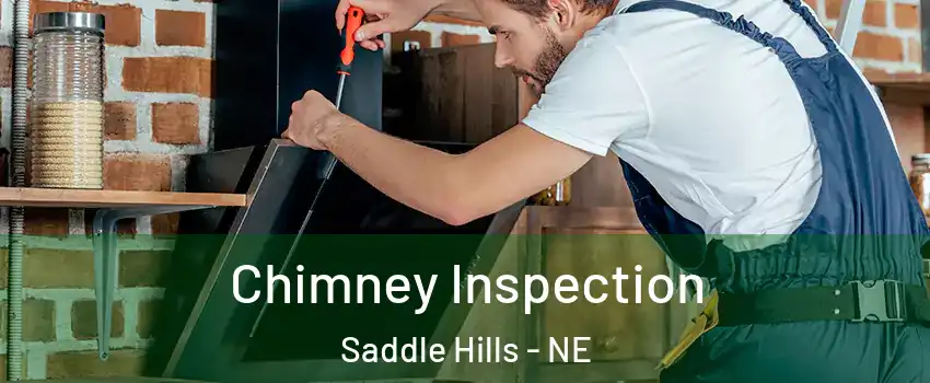 Chimney Inspection Saddle Hills - NE