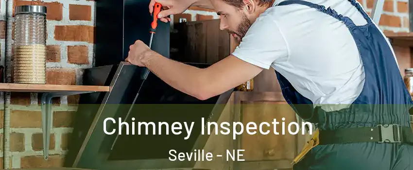 Chimney Inspection Seville - NE