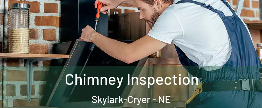 Chimney Inspection Skylark-Cryer - NE