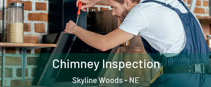 Chimney Inspection Skyline Woods - NE