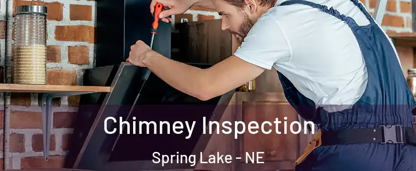 Chimney Inspection Spring Lake - NE