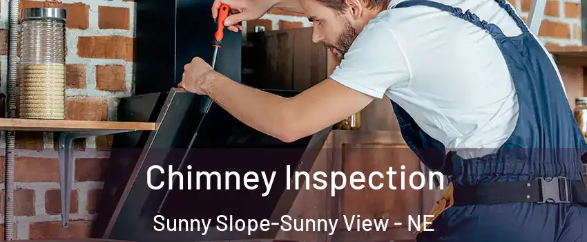 Chimney Inspection Sunny Slope-Sunny View - NE