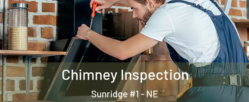 Chimney Inspection Sunridge #1 - NE