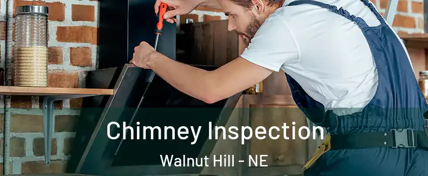 Chimney Inspection Walnut Hill - NE