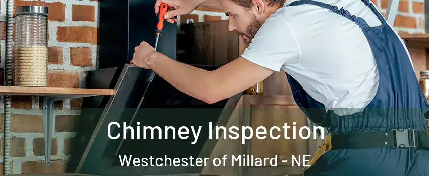 Chimney Inspection Westchester of Millard - NE