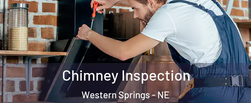 Chimney Inspection Western Springs - NE