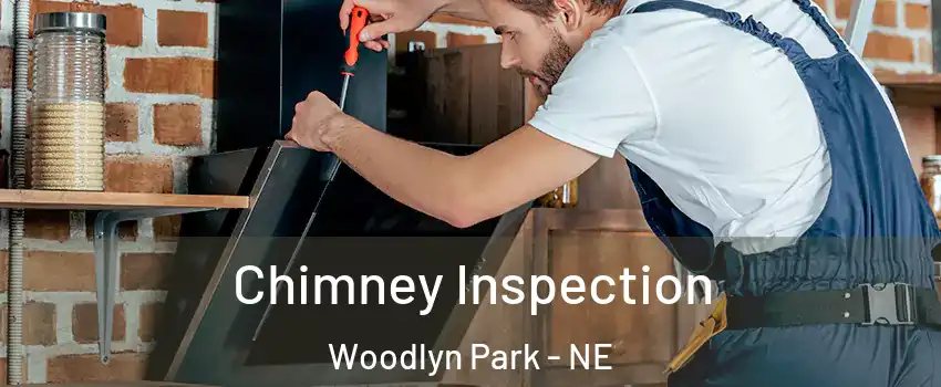 Chimney Inspection Woodlyn Park - NE