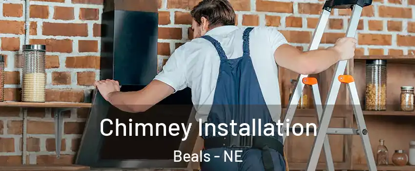 Chimney Installation Beals - NE