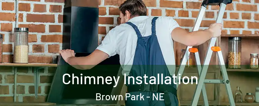 Chimney Installation Brown Park - NE