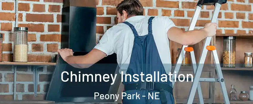 Chimney Installation Peony Park - NE